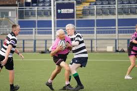 Image result for Edinburgh Bats Rugby