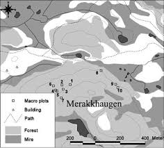 Attēlu rezultāti vaicājumam “Barbilophozia lycopodioides macro”