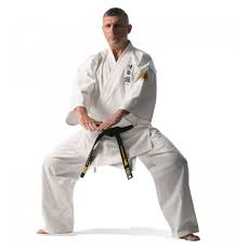 Image result for Sandokai Karate