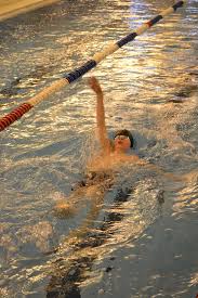 Image result for Stevenage Swimming Club