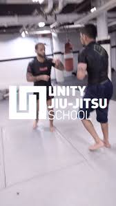 Image result for Unity School Of Jiu Jitsu