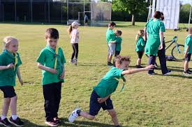 Image result for Ifield Cricket Club