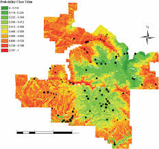 Attēlu rezultāti vaicājumam “Usnea hirta”