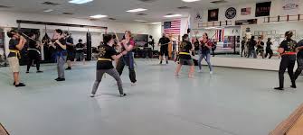 Image result for New Path Martial Arts Academy
