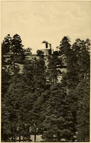 Image result for mars trees