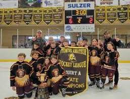 Image result for Horley Hockey Club