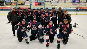 Image result for Mid Surrey Ladies Hockey Club