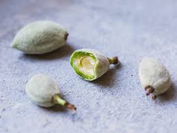 Image result for fresh green almonds