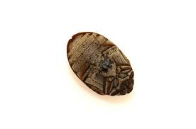 Attēlu rezultāti vaicājumam “Anthrenus museorum”