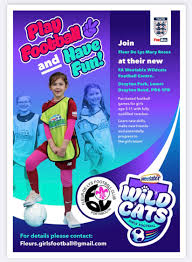 Image result for Fleur De Lys Football Club