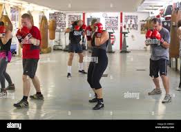 Image result for Islington Chessboxing Club