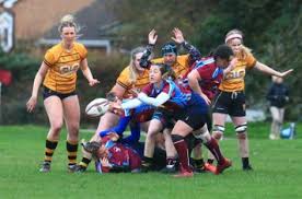 Image result for Clacton Rugby Union Football Club