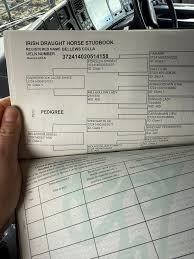 Image result for Limerick Draughts Club