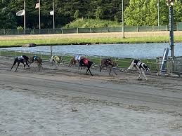 Image result for Reading Greyhound Track