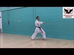 Image result for Kenshukai Karate