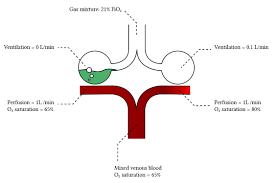 Image result for  v    q