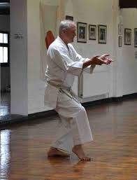 Image result for Konjaku Shin National School Of Karate, Lincolnshire