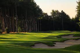 Image result for St Albans Centurions