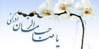 mahdi1100 تصوير با اندازه اصلي