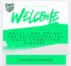 Image result for Holly Lane Badminton Club