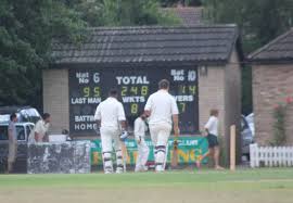 Image result for Ifield Cricket Club