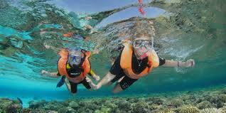 Image result for Woking Junior Snorkelling Club