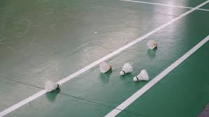 Image result for Bilton Central Badminton Club