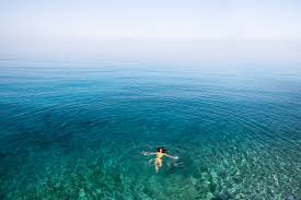 Image result for Swimming