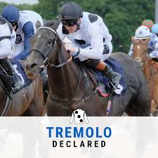 Image result for Elite Racing Club