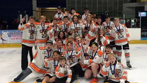 Image result for Telford Junior Ice Hockey Club