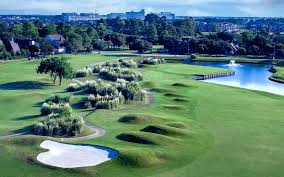 Image result for Falcon Sa Club