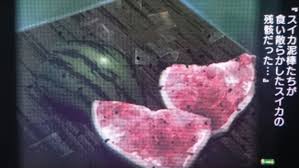 「花咲めぐみ ぼくのなつやすみ3」の画像検索結果