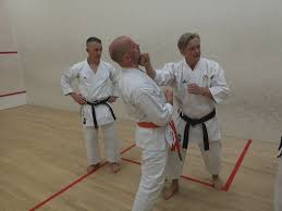 Image result for Thatcham Wado Karate Club