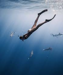 Image result for Deep Blue Diving