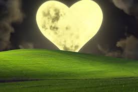 Image result for love windows xp