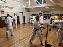 Image result for Ryusui-ryu Martial Arts School East Grinstead