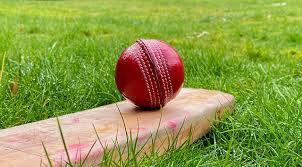 Image result for Headley Cricket Club