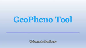 Image result for pheega