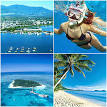 The Cairns Tourism Website - Cairns -