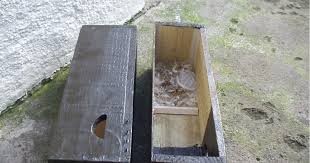 Image result for Bristol Swifts