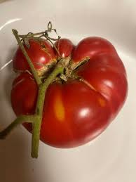 Afbeeldingsresultaat voor millionaire tomato