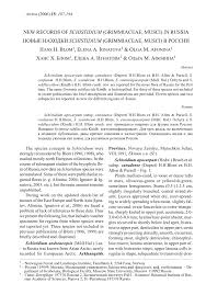 Attēlu rezultāti vaicājumam “Schistidium apocarpum sporophyte”