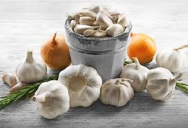 Attēlu rezultāti vaicājumam “Allium sativum”