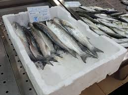 Image result for Liza ramada