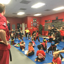 Image result for Hidden Dragon Karate-Do