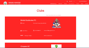 Image result for maiden Erlegh Subbuteo Club