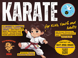 Image result for York University Karate Club