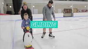 Image result for Stirling Ice Rink Sports Club