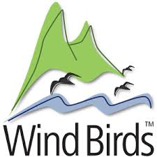 Image result for Oceanodroma monorhis