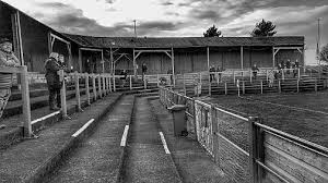 Image result for Workington AFC
